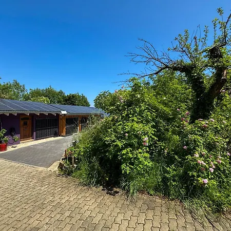 Appartement Esswiese Weimar (Thuringia)