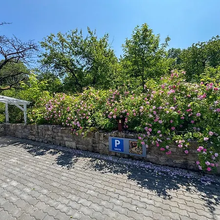 Esswiese Βαϊμάρη