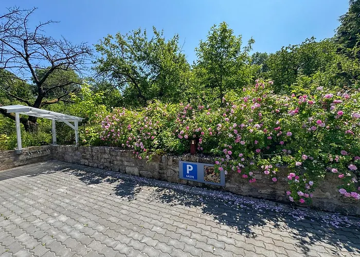 Esswiese Weimar (Thuringia)